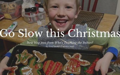 Go Slow this Christmas